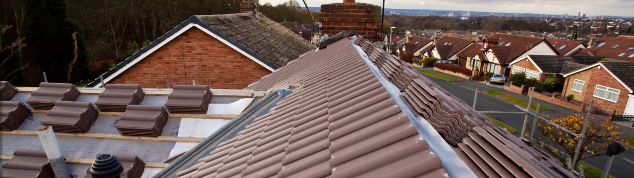 Looking out over a roof